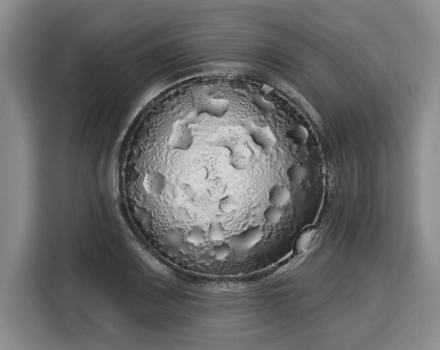 X0000116041083200911271153