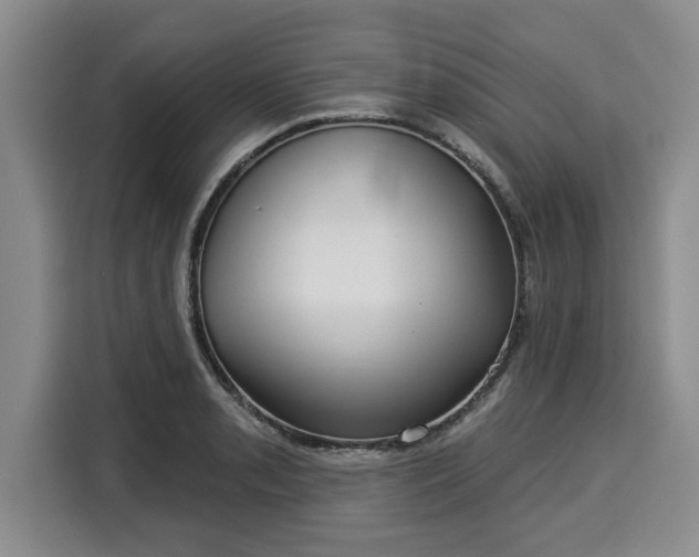 X0000116041085200911271153