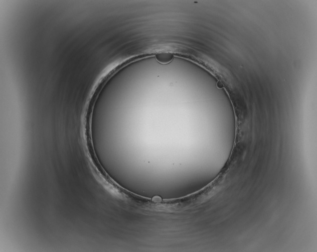 X0000116041086200911271153