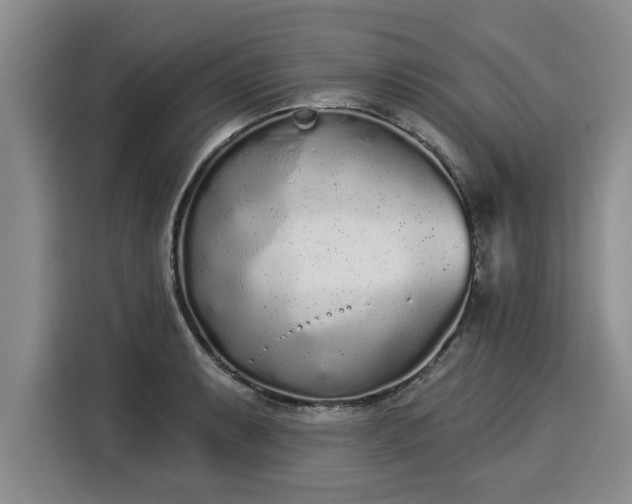 X0000116041087200911271153