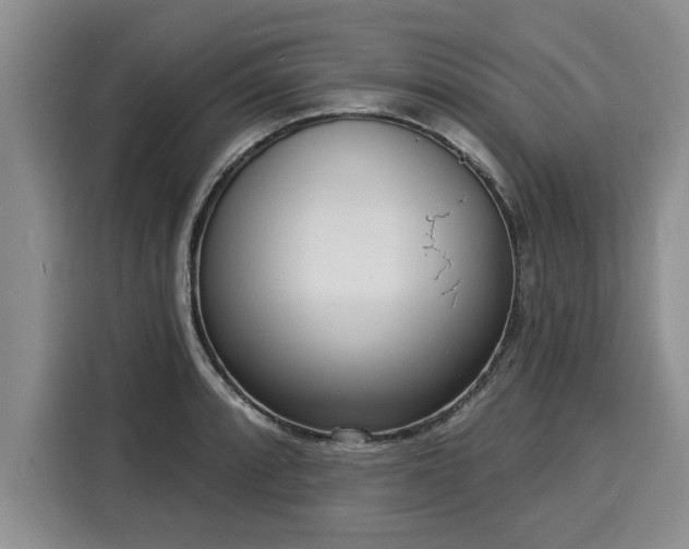 X0000116041088200911271153