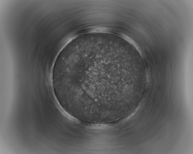 X0000116041090200911271153