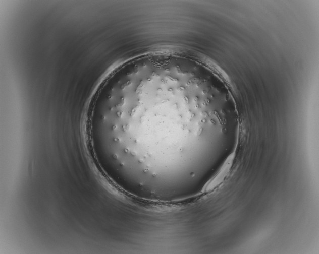 X0000116041091200911271153