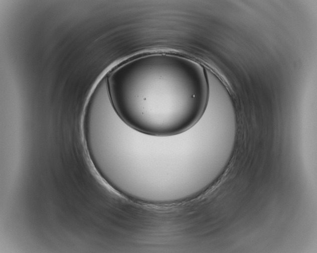 X0000116041092200911271153