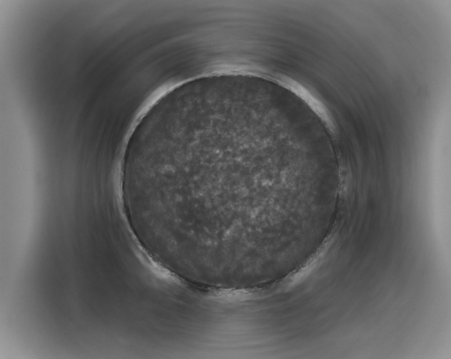 X0000116041094200911271153