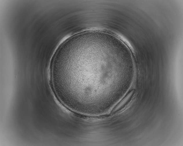 X0000116041095200911271153