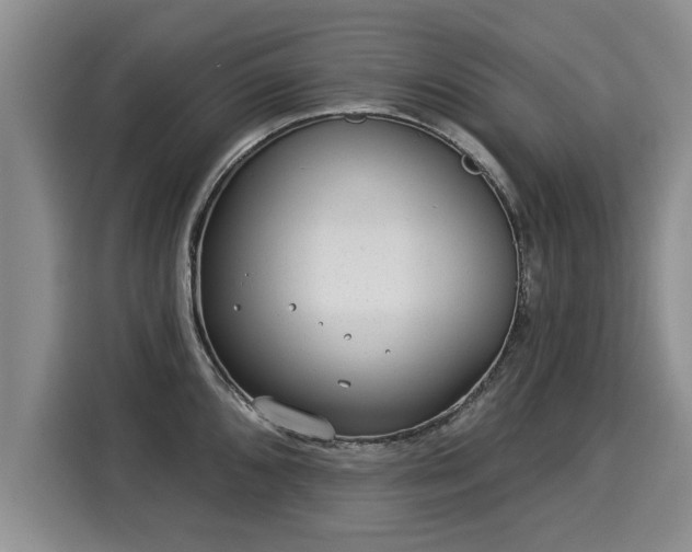 X0000116041096200911271153