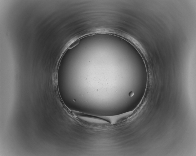 X0000116041097200911271153