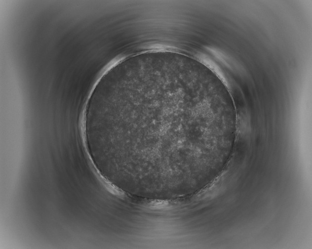 X0000116041098200911271153