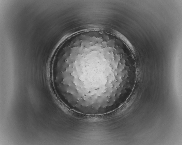 X0000116041099200911271153