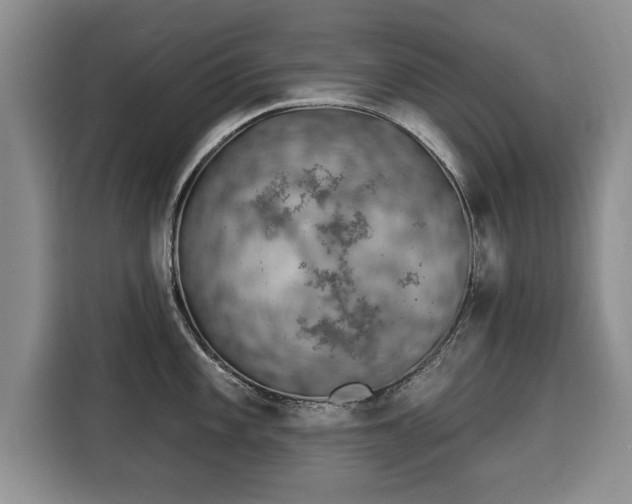 X0000116041101200911271153