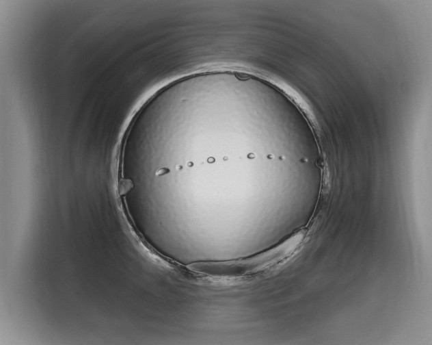 X0000116041102200911271153