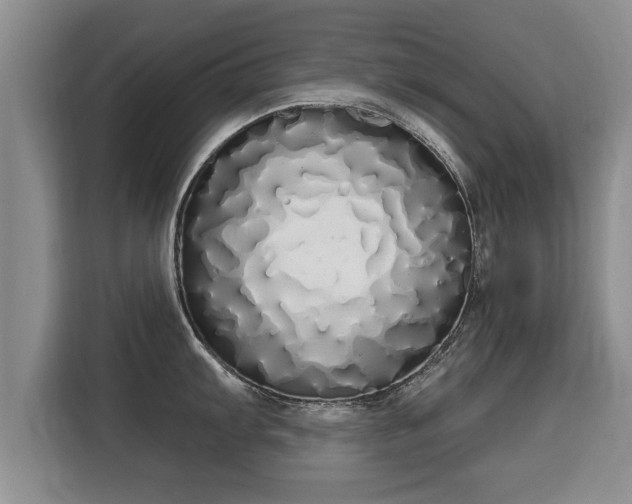 X0000116041103200911271153