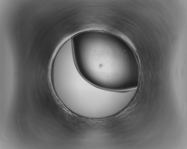 X0000116041104200911271153