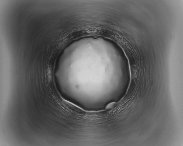 X0000116041106200911271152