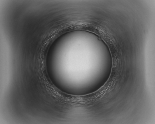 X0000116041109200911271152