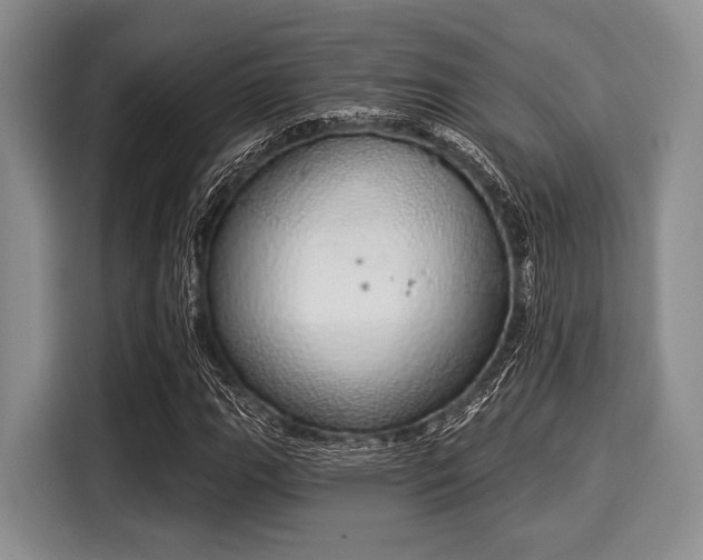 X0000116041111200911271152