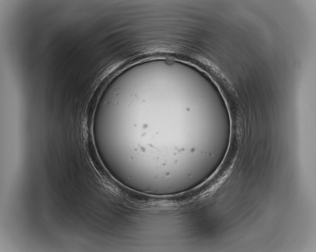 X0000116041113200911271152