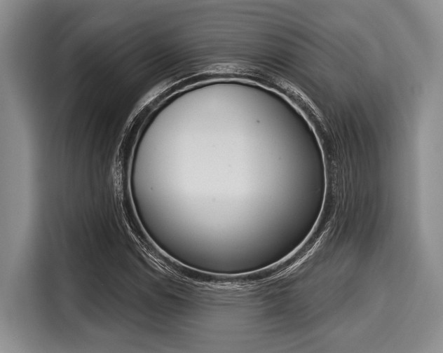 X0000116041114200911271152