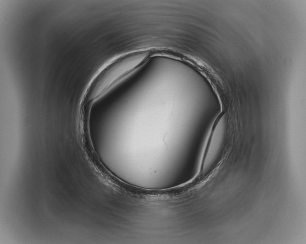 X0000116041118200911271152