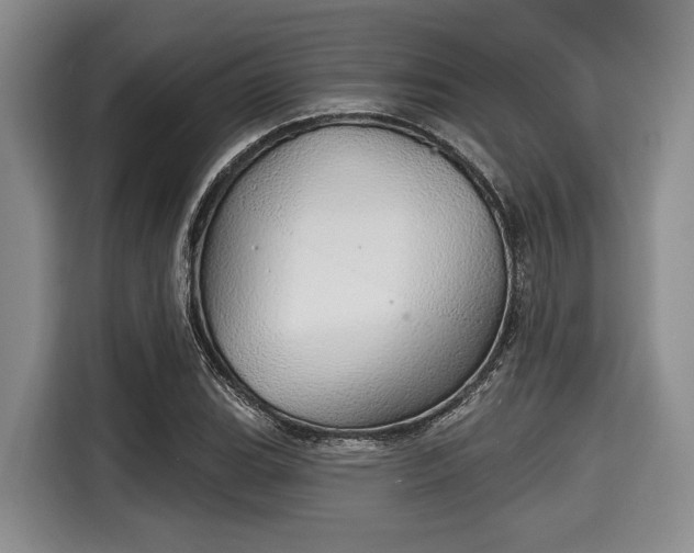 X0000116041119200911271152