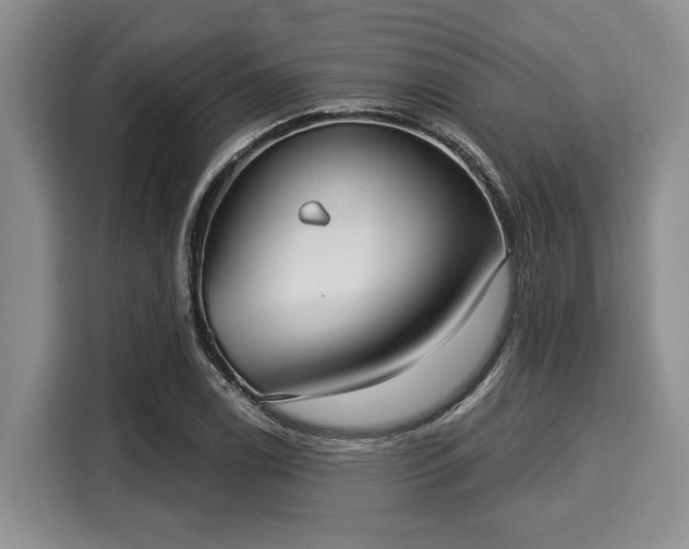 X0000116041122200911271152