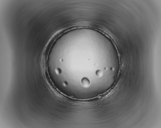 X0000116041123200911271152