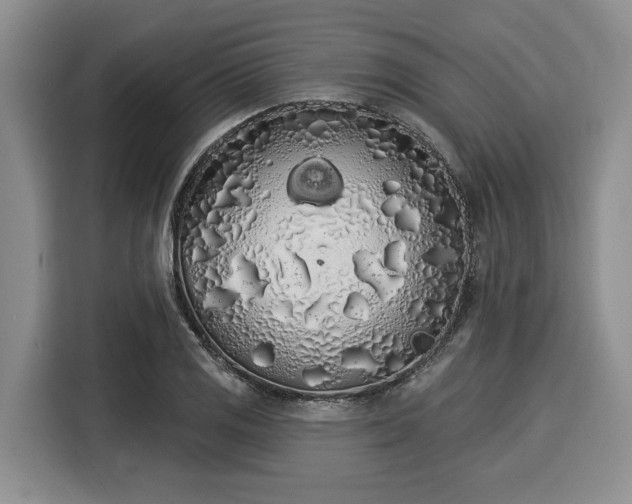 X0000116041125200911271152