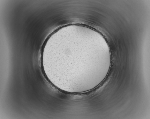 X0000116041126200911271152