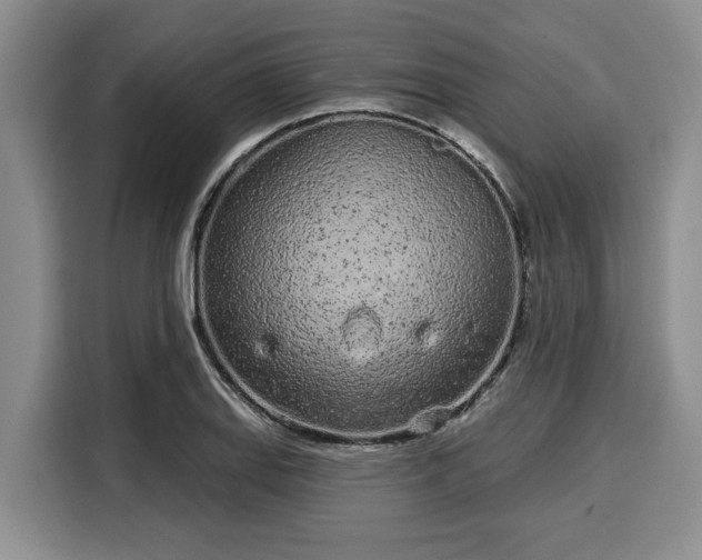 X0000116041127200911271152