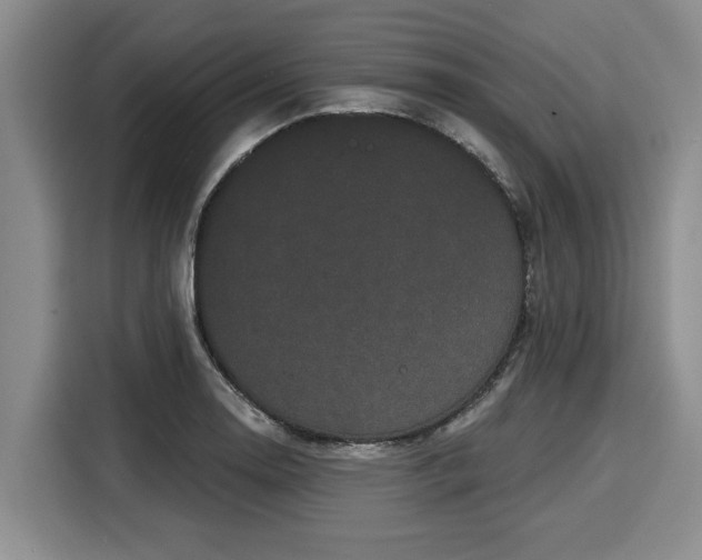 X0000116041130200911271152