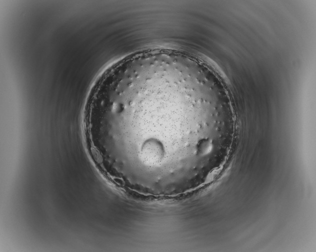 X0000116041133200911271153