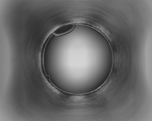 X0000116041134200911271153