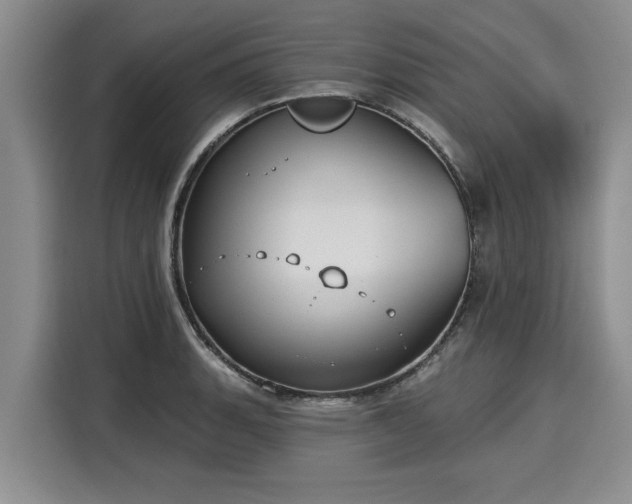 X0000116041135200911271153