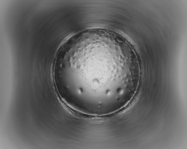 X0000116041137200911271153