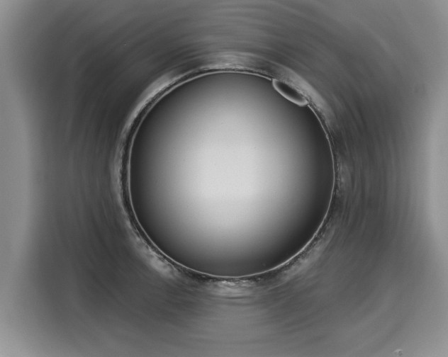 X0000116041138200911271153