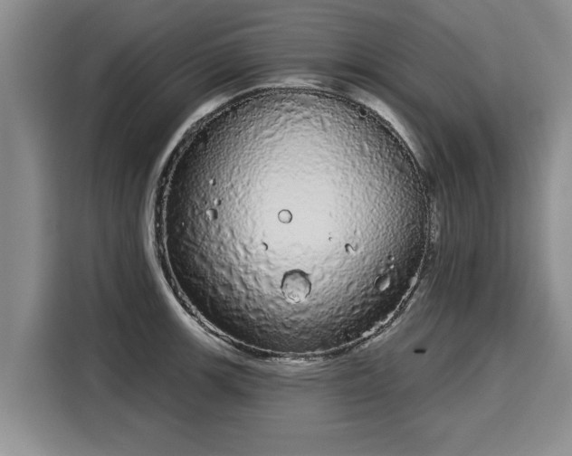 X0000116041139200911271153