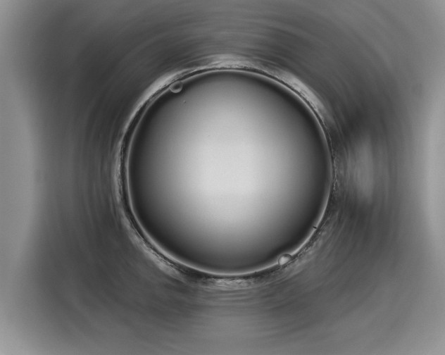 X0000116041142200911271153