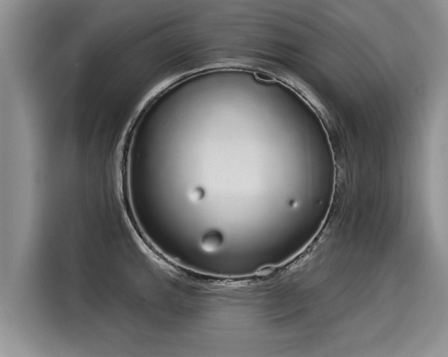 X0000116041143200911271153