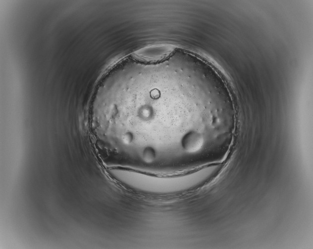 X0000116041145200911271153