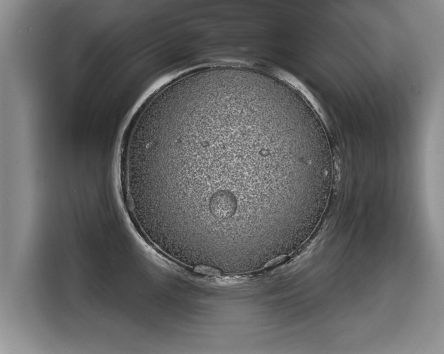 X0000116041147200911271153