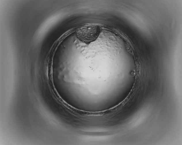 X0000116041151200911271153