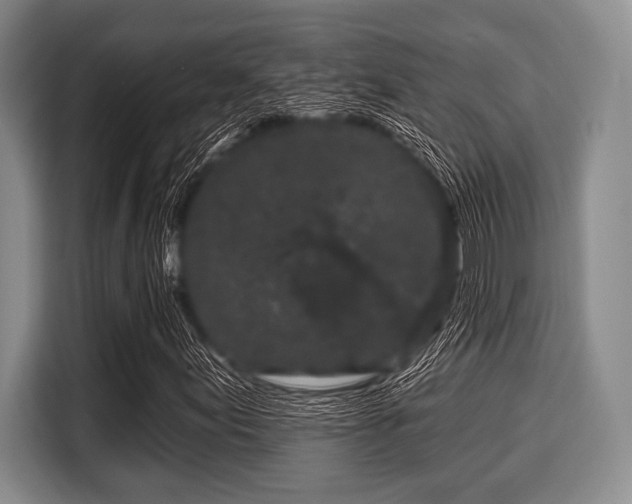 X0000116041155200911271152