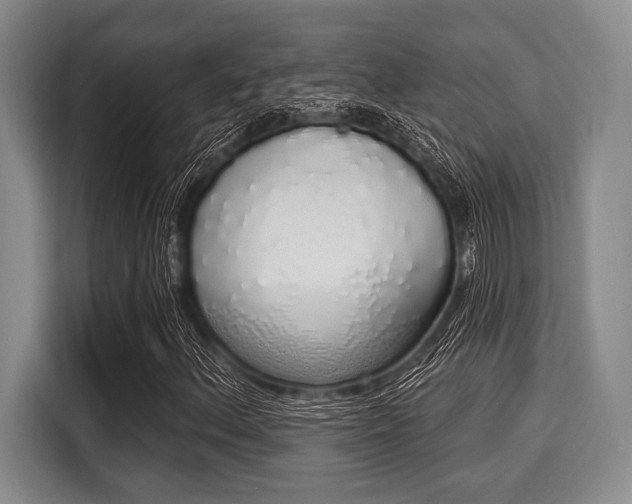 X0000116041156200911271152