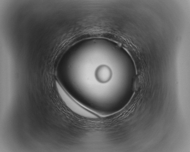 X0000116041157200911271152