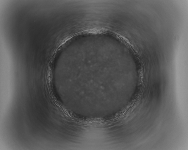 X0000116041158200911271152