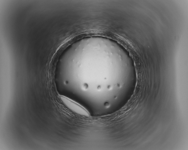 X0000116041160200911271152