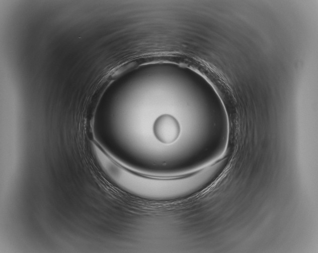 X0000116041161200911271152