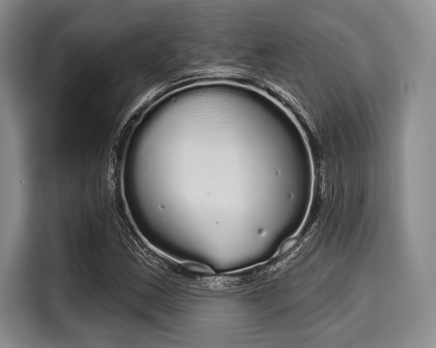 X0000116041163200911271152