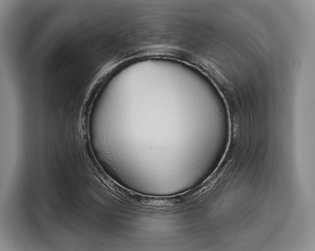 X0000116041164200911271152